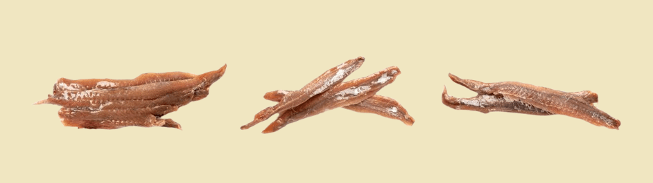 Anchovy Fillets in Oil