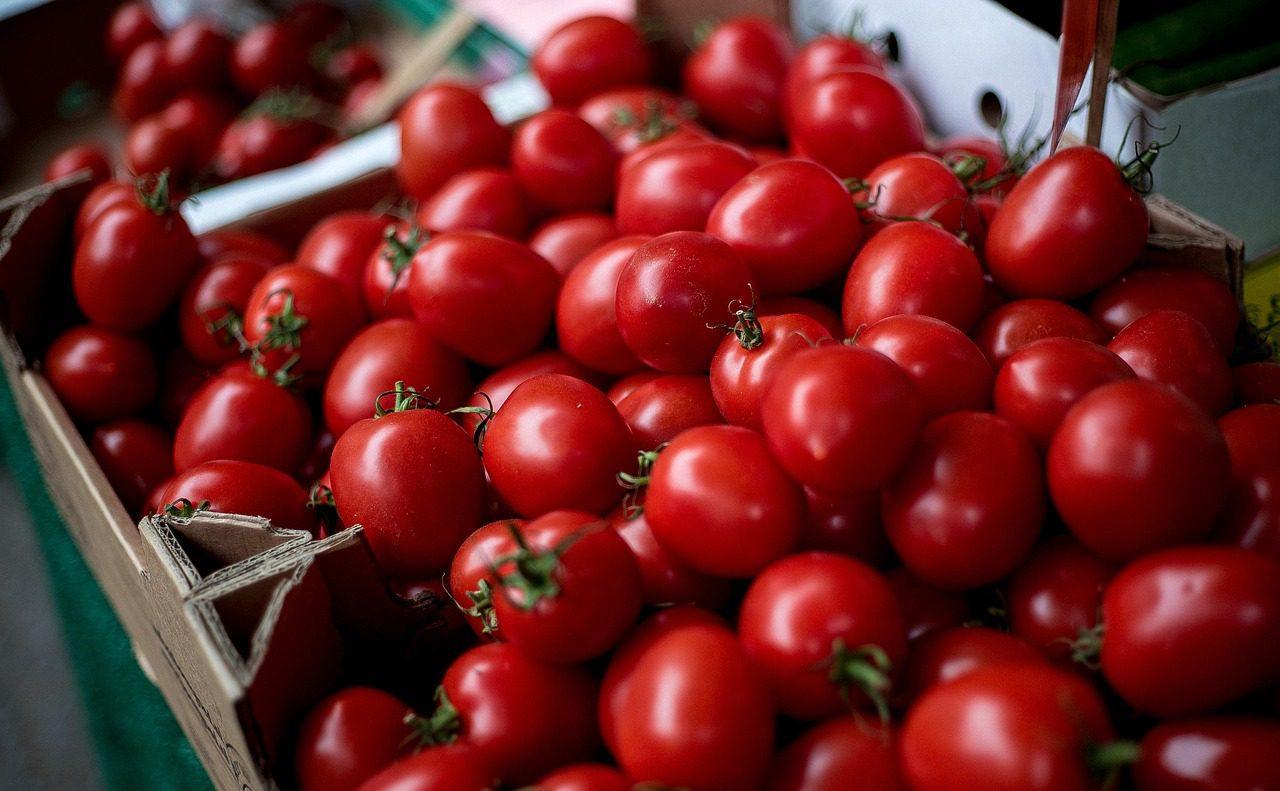 Assorted Fresh Tomatoes in a Box